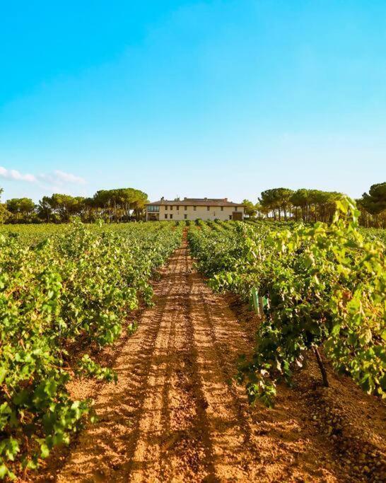Chalet En Bodega La De Vitis Casas de Santa Cruz