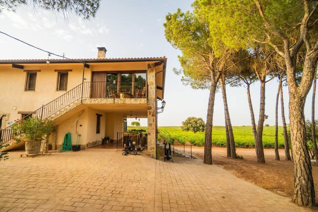 En Bodega La De Vitis Chalet